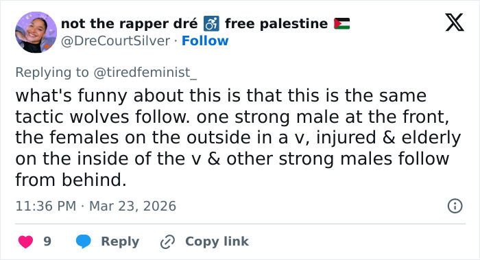 Seven Kidnapped Dogs Become Viral Sensation After They Escape Captors To Make Brave Journey Home Together