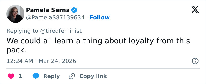 Seven Kidnapped Dogs Become Viral Sensation After They Escape Captors To Make Brave Journey Home Together