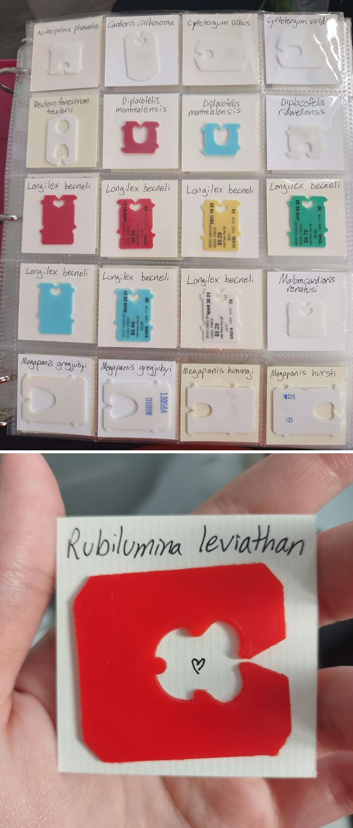 People Reveal The Things They Are So Obsessed With That It Grew Into A Collection (New Pics)