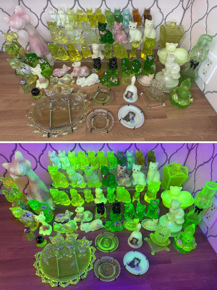 People Reveal The Things They Are So Obsessed With That It Grew Into A Collection (New Pics)