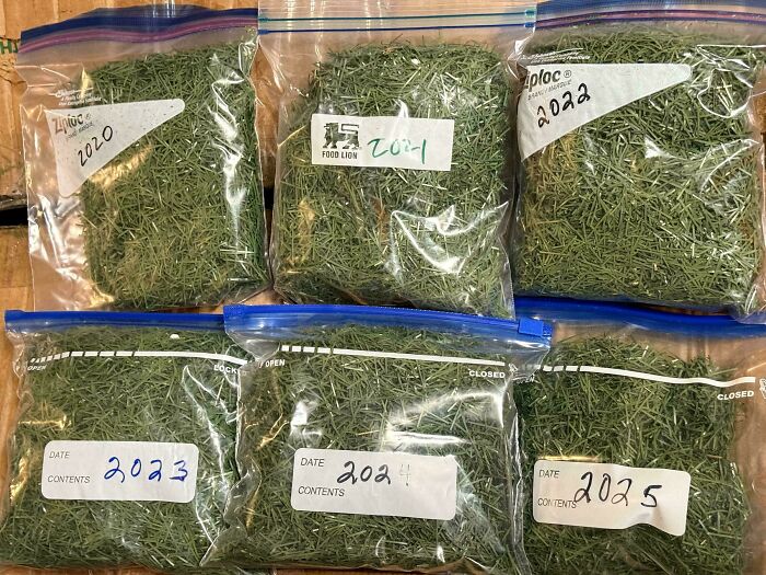 People Reveal The Things They Are So Obsessed With That It Grew Into A Collection (New Pics)