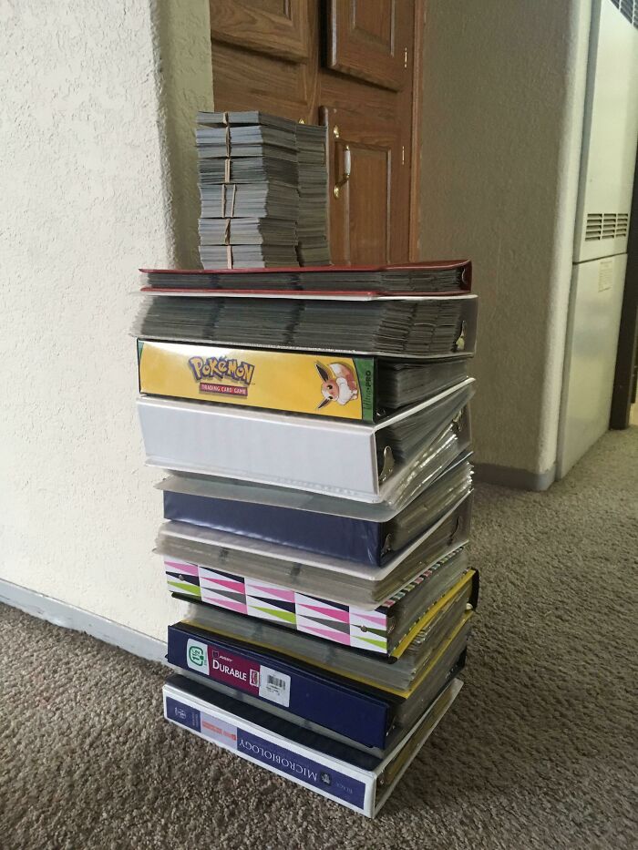 People Reveal The Things They Are So Obsessed With That It Grew Into A Collection (New Pics)