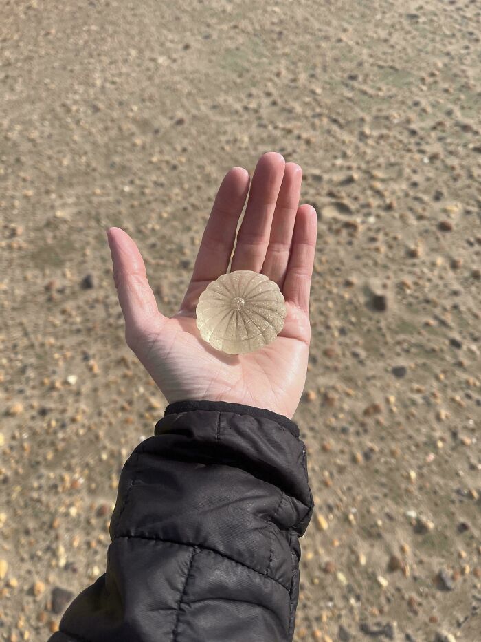 97 Cool And Creative Glass Items People Found Or Made That You Might Want In Your Home