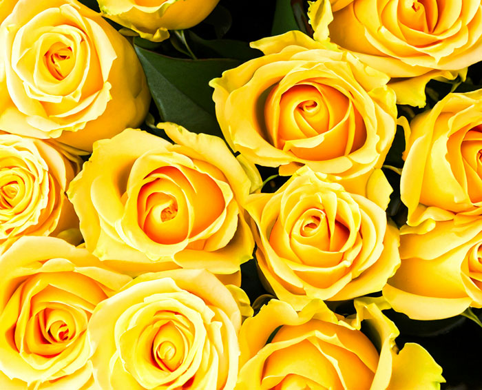 51 Harmless Secrets That These People Keep From Their Partners For The Most Ridiculous Reasons