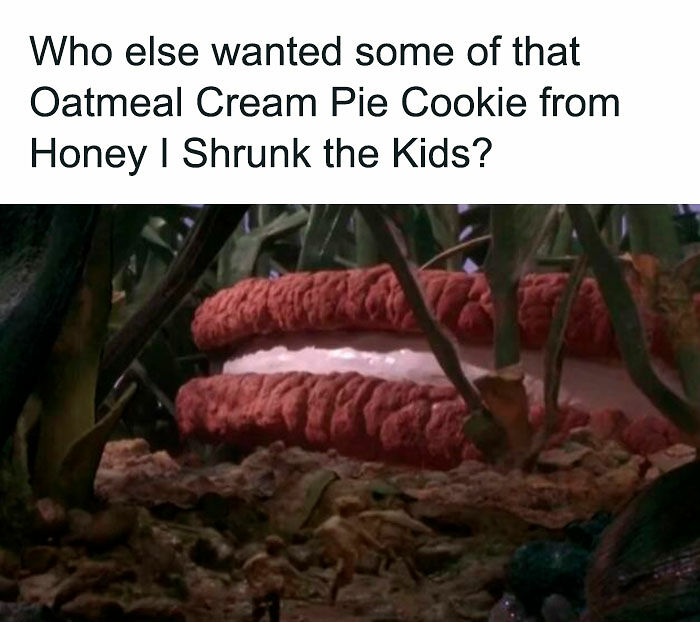 99 Posts That Might Instantly Transport Millennials Back To Their Childhood (New Pics)