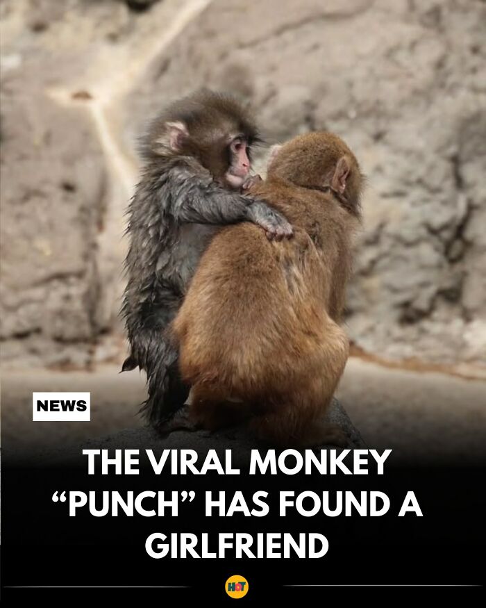 “Heaven Of Tips”: 81 Facts That Might Actually Teach You Something New