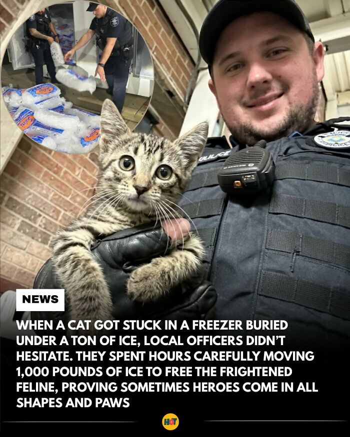 “Heaven Of Tips”: 81 Facts That Might Actually Teach You Something New