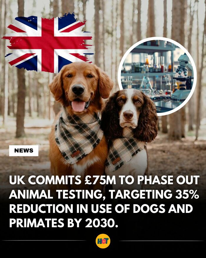 “Heaven Of Tips”: 81 Facts That Might Actually Teach You Something New