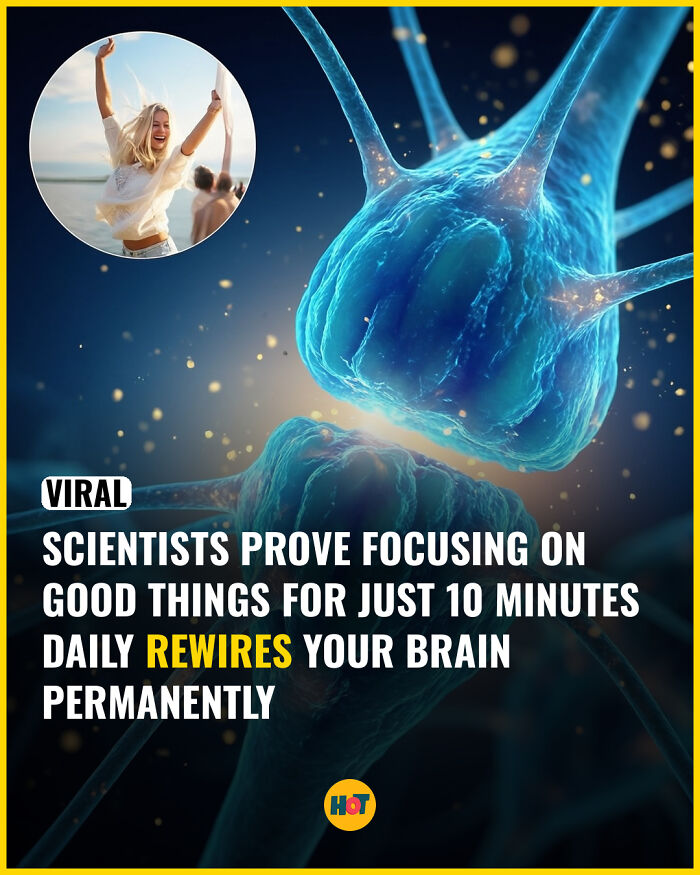 “Heaven Of Tips”: 81 Facts That Might Actually Teach You Something New