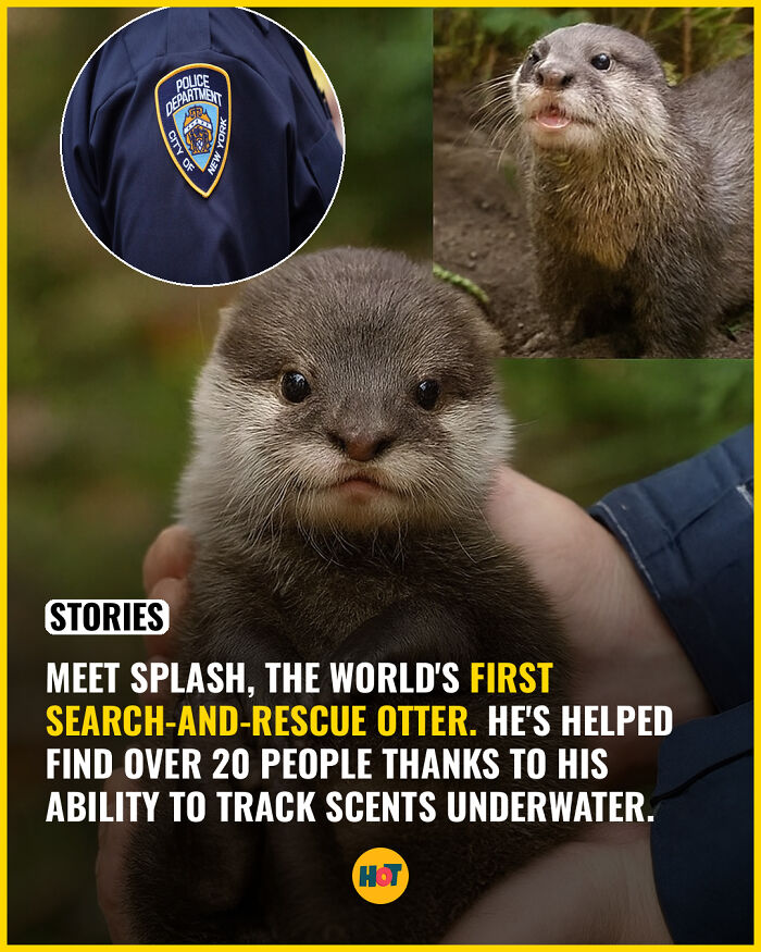 “Heaven Of Tips”: 81 Facts That Might Actually Teach You Something New