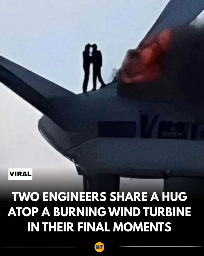 “Heaven Of Tips”: 81 Facts That Might Actually Teach You Something New