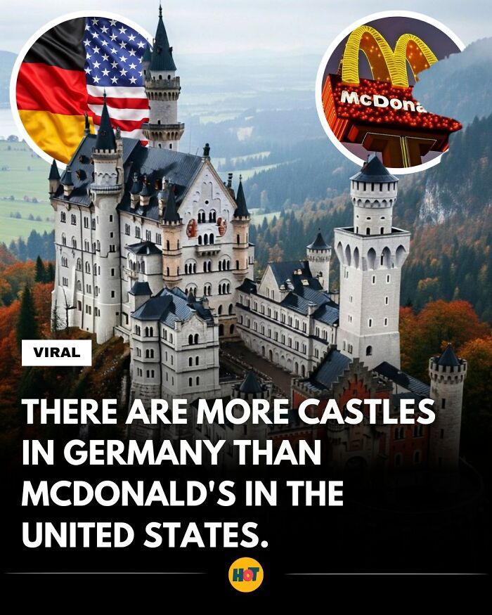 “Heaven Of Tips”: 81 Facts That Might Actually Teach You Something New