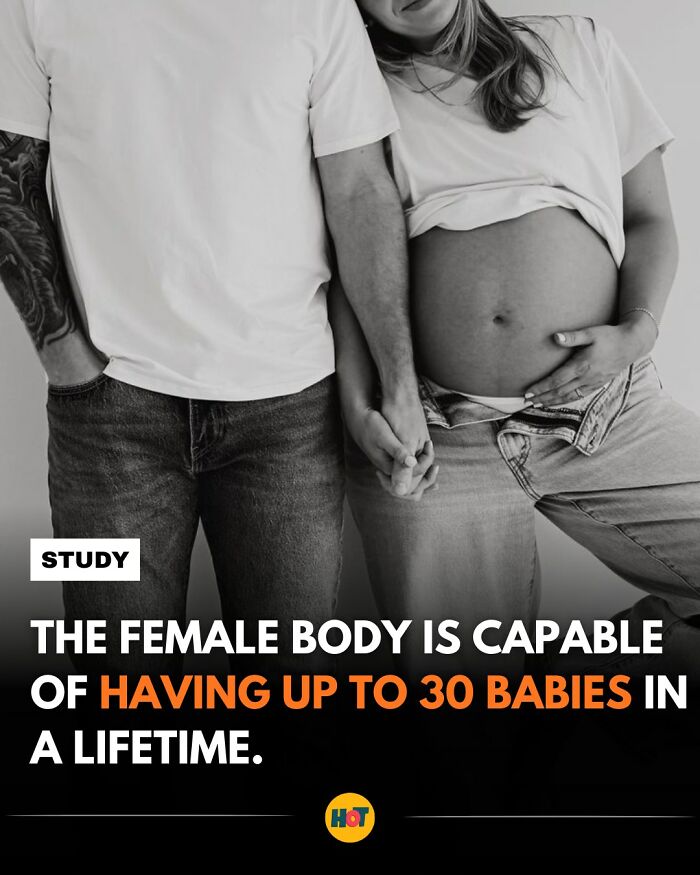 “Heaven Of Tips”: 81 Facts That Might Actually Teach You Something New