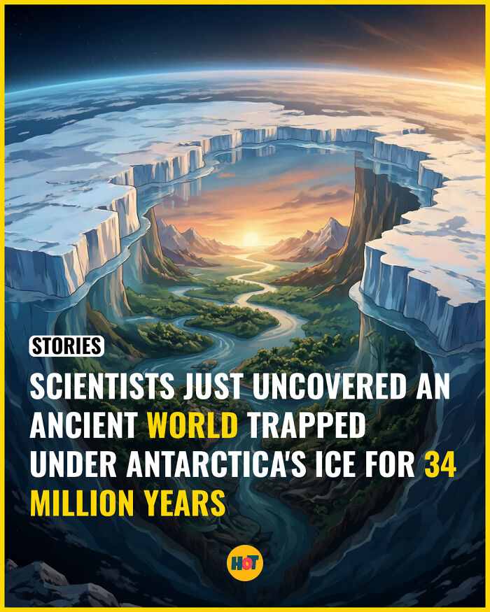 “Heaven Of Tips”: 81 Facts That Might Actually Teach You Something New