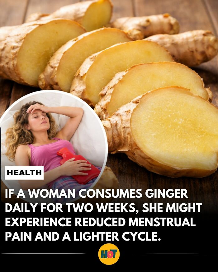 “Heaven Of Tips”: 81 Facts That Might Actually Teach You Something New