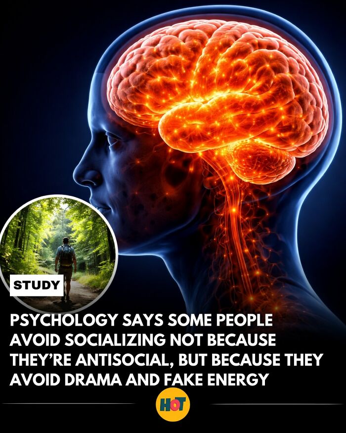 “Heaven Of Tips”: 81 Facts That Might Actually Teach You Something New