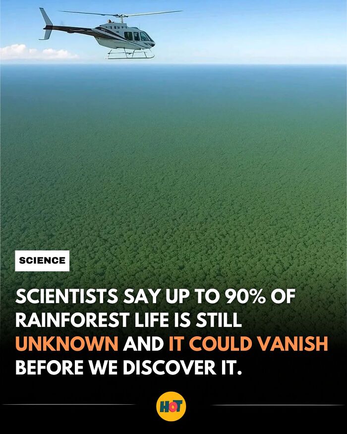 “Heaven Of Tips”: 81 Facts That Might Actually Teach You Something New