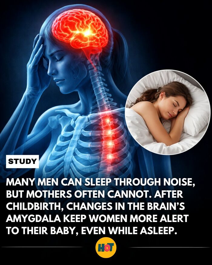 “Heaven Of Tips”: 81 Facts That Might Actually Teach You Something New