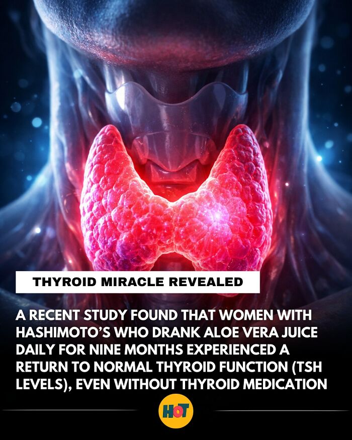 “Heaven Of Tips”: 81 Facts That Might Actually Teach You Something New