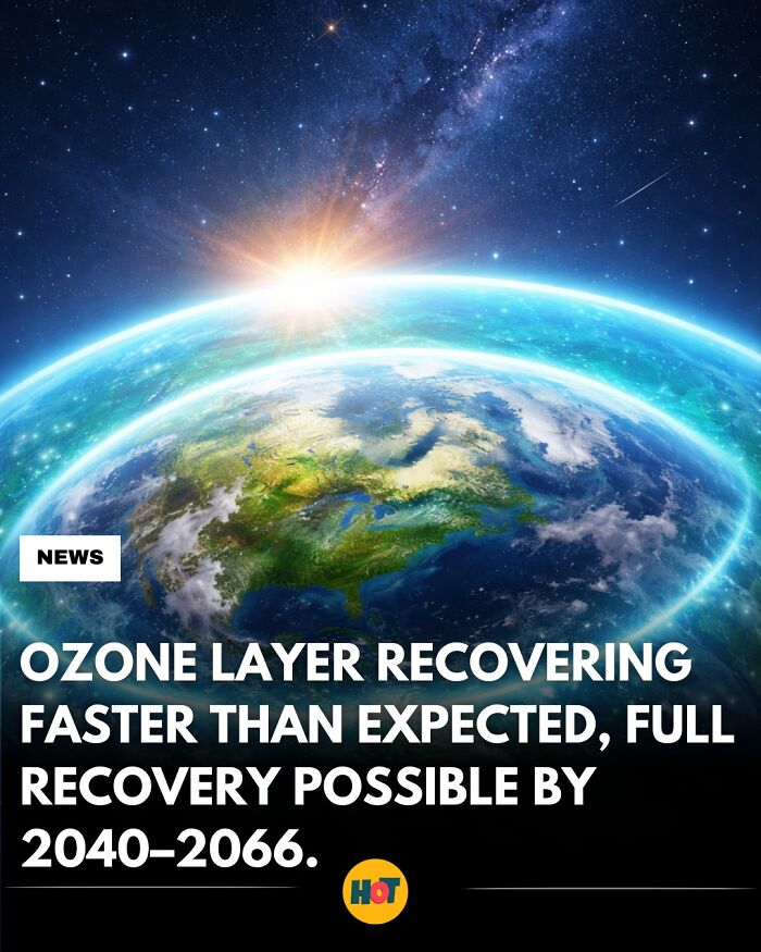 “Heaven Of Tips”: 81 Facts That Might Actually Teach You Something New