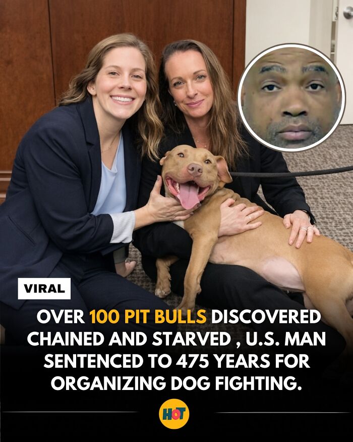 “Heaven Of Tips”: 81 Facts That Might Actually Teach You Something New