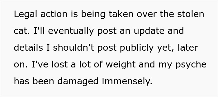 Man&rsquo;s &ldquo;Perfect&rdquo; Relationship Falls Apart After Girlfriend Cheats, Takes His Cat And Disappears