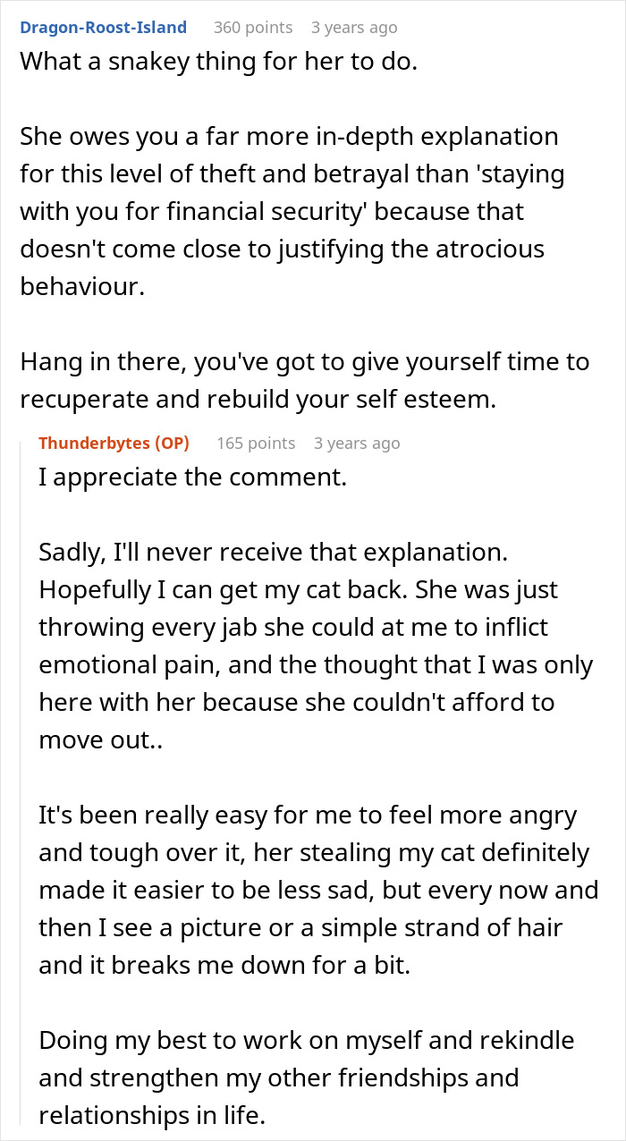 Man&rsquo;s &ldquo;Perfect&rdquo; Relationship Falls Apart After Girlfriend Cheats, Takes His Cat And Disappears