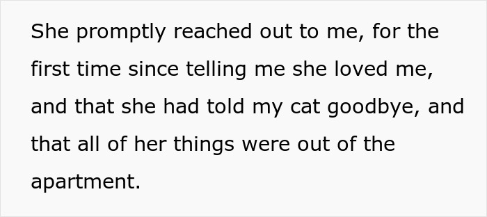 Man&rsquo;s &ldquo;Perfect&rdquo; Relationship Falls Apart After Girlfriend Cheats, Takes His Cat And Disappears