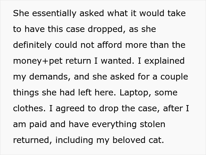 Man&rsquo;s &ldquo;Perfect&rdquo; Relationship Falls Apart After Girlfriend Cheats, Takes His Cat And Disappears