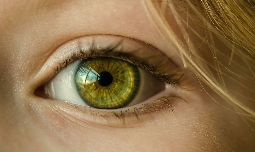 How Rare Are Green Eyes, And What Genetics Says About Their Origins
