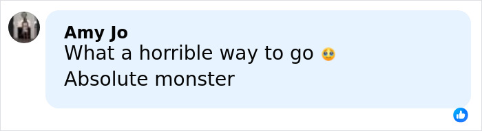 Open Misogynist, 18, Learns Fate After Taking Own Mother Hostage And Ending Her Life