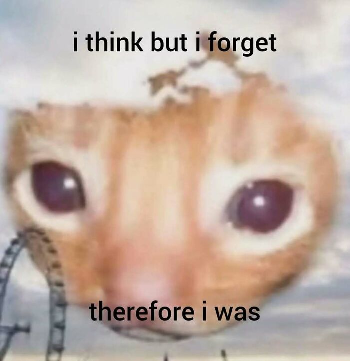 89 Philosophy Memes That Won’t Cure Your Existential Dread But Can At Least Make You Chuckle 89 Philosophy Memes That Won’t Cure Your Existential Dread But Can At Least Make You Chuckle