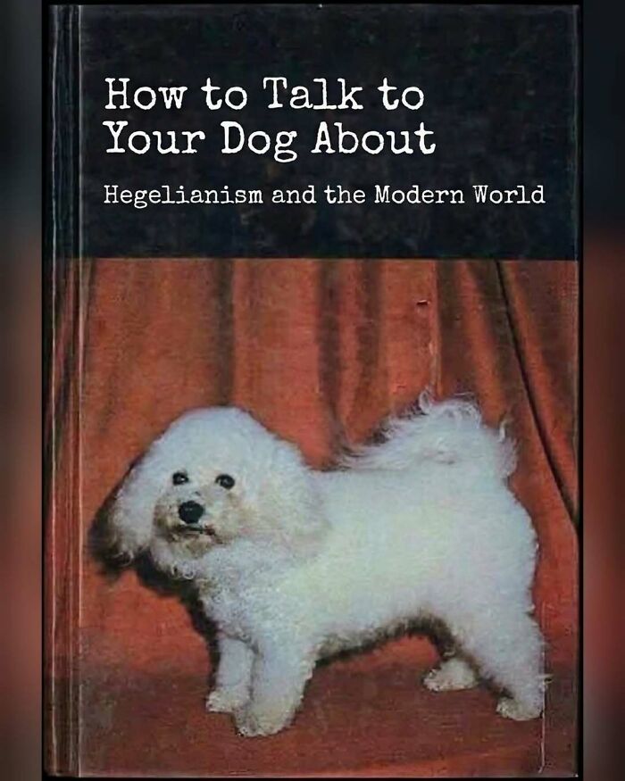 89 Philosophy Memes That Won’t Cure Your Existential Dread But Can At Least Make You Chuckle 89 Philosophy Memes That Won’t Cure Your Existential Dread But Can At Least Make You Chuckle