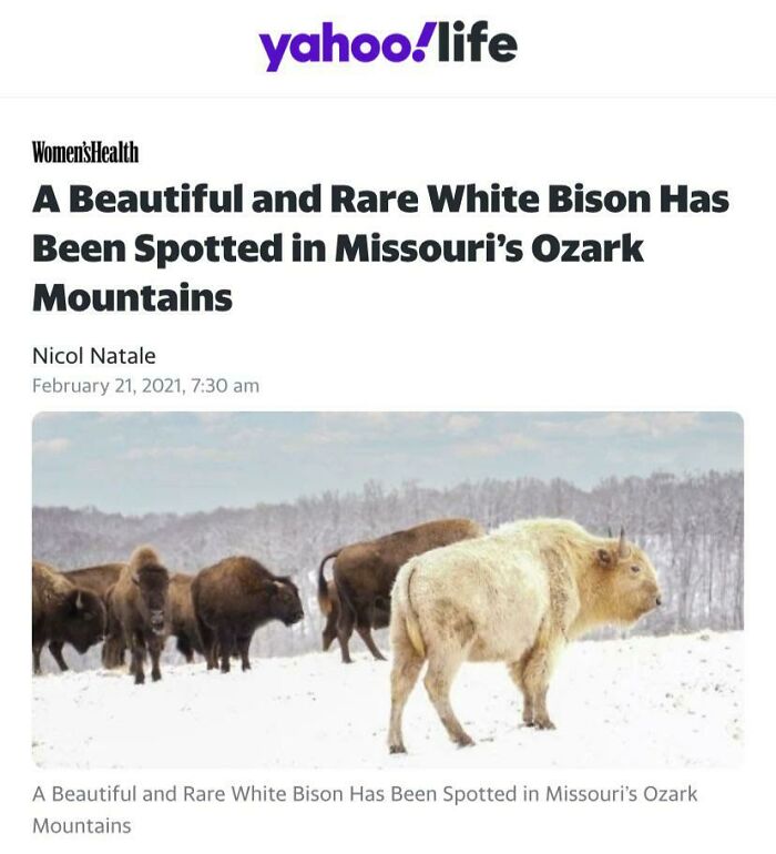 &ldquo;The Government Forgot To Color This One&rdquo;: 91 Stunning Color Mutations In Animals And Objects That Feel Unreal (New Pics)