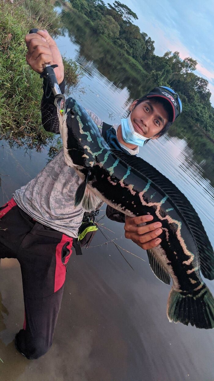 &ldquo;The Government Forgot To Color This One&rdquo;: 91 Stunning Color Mutations In Animals And Objects That Feel Unreal (New Pics)