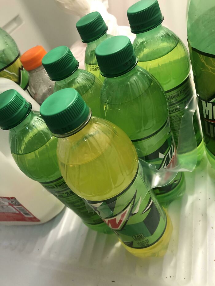 &ldquo;The Government Forgot To Color This One&rdquo;: 91 Stunning Color Mutations In Animals And Objects That Feel Unreal (New Pics)