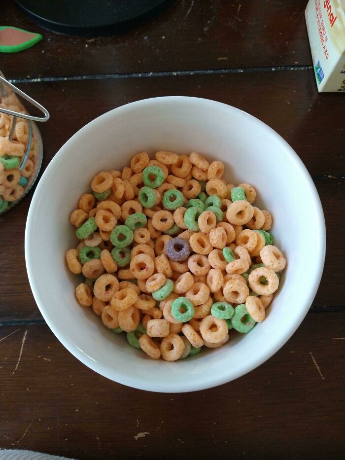 &ldquo;The Government Forgot To Color This One&rdquo;: 91 Stunning Color Mutations In Animals And Objects That Feel Unreal (New Pics)