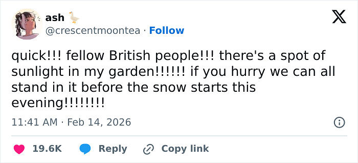 65 Hilarious Tweets That Show Living In The UK Is A Unique Experience 65 Hilarious Tweets That Show Living In The UK Is A Unique Experience