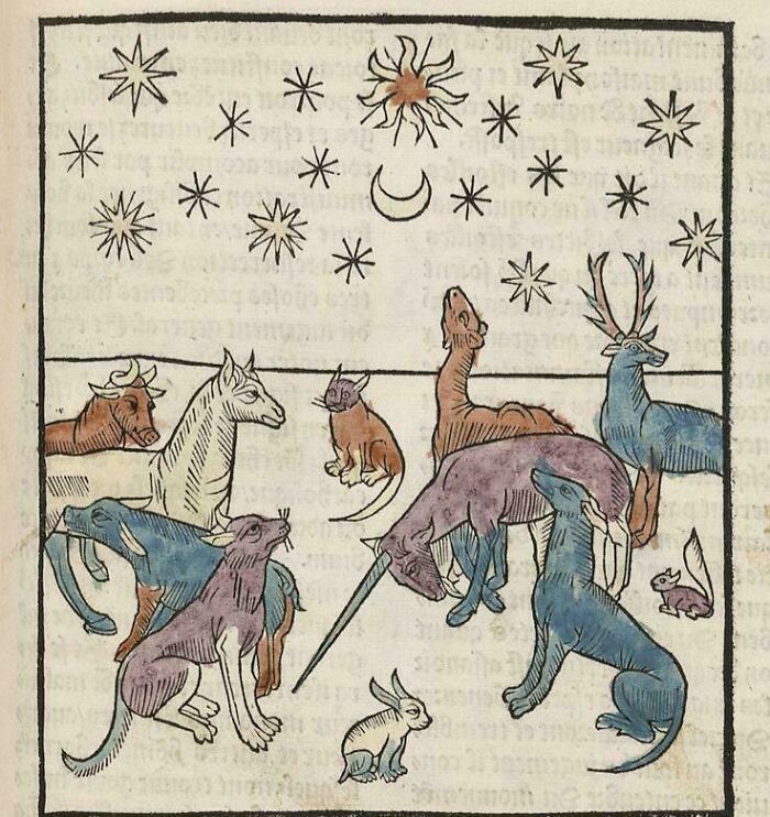 77 Cool And Bizarre Creatures Modern People Noticed In Medieval Art 77 Cool And Bizarre Creatures Modern People Noticed In Medieval Art