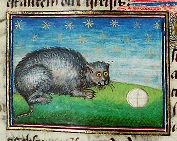 77 Cool And Bizarre Creatures Modern People Noticed In Medieval Art 77 Cool And Bizarre Creatures Modern People Noticed In Medieval Art