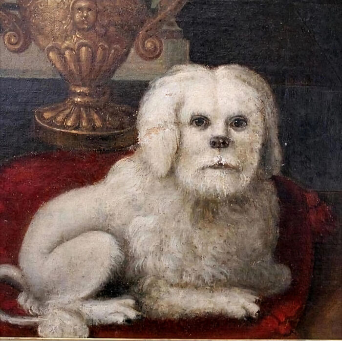 77 Cool And Bizarre Creatures Modern People Noticed In Medieval Art 77 Cool And Bizarre Creatures Modern People Noticed In Medieval Art