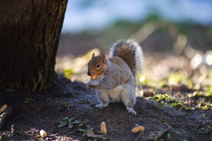 57 Things People Said That Sounded Like A Complete Joke, But They Were Very Serious 57 Things People Said That Sounded Like A Complete Joke, But They Were Very Serious