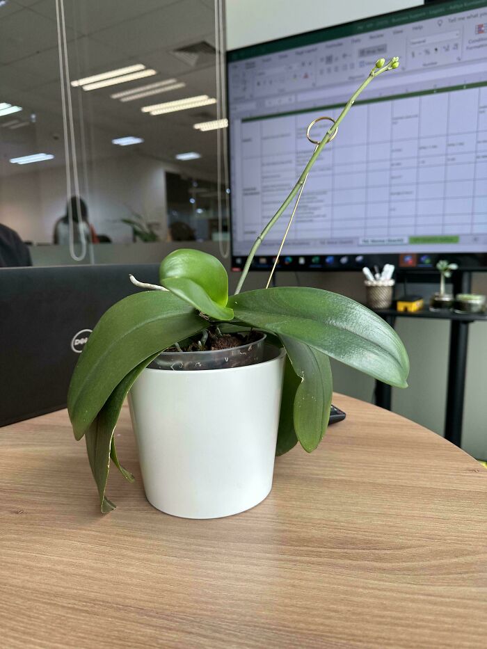 67 Times People Witnessed The Pettiest Work Dramas They Just Had To Gossip About 67 Times People Witnessed The Pettiest Work Dramas They Just Had To Gossip About