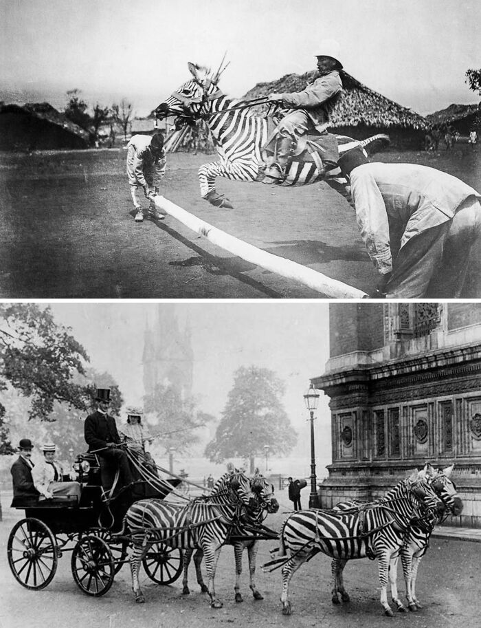 “Archive Of Humanity”: 109 Photos Showing The Most Important Moments In Our History “Archive Of Humanity”: 109 Photos Showing The Most Important Moments In Our History