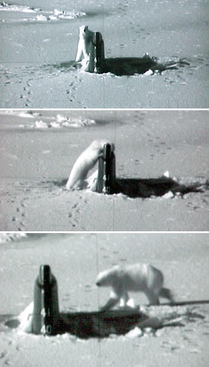 “Archive Of Humanity”: 109 Photos Showing The Most Important Moments In Our History “Archive Of Humanity”: 109 Photos Showing The Most Important Moments In Our History