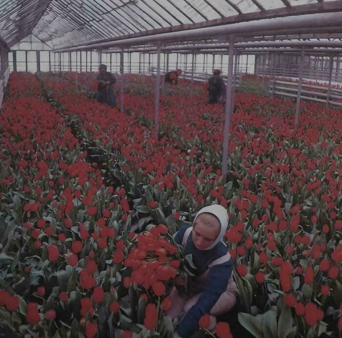 “Archive Of Humanity”: 109 Photos Showing The Most Important Moments In Our History “Archive Of Humanity”: 109 Photos Showing The Most Important Moments In Our History