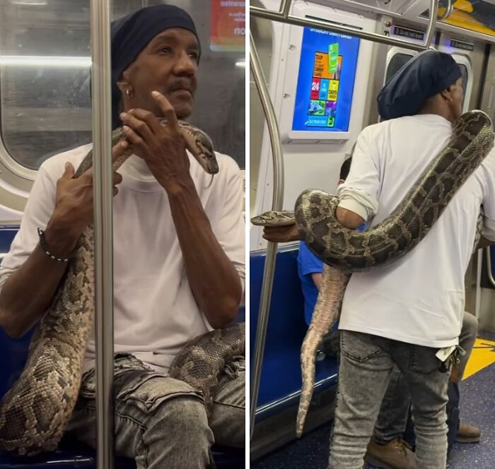 “NYC Is A Simulation”: 47 Times People’s Commutes Were Ruined By Completely Unhinged And Entitled Passengers (New Pics) “NYC Is A Simulation”: 47 Times People’s Commutes Were Ruined By Completely Unhinged And Entitled Passengers (New Pics)