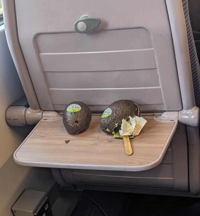 “NYC Is A Simulation”: 47 Times People’s Commutes Were Ruined By Completely Unhinged And Entitled Passengers (New Pics) “NYC Is A Simulation”: 47 Times People’s Commutes Were Ruined By Completely Unhinged And Entitled Passengers (New Pics)