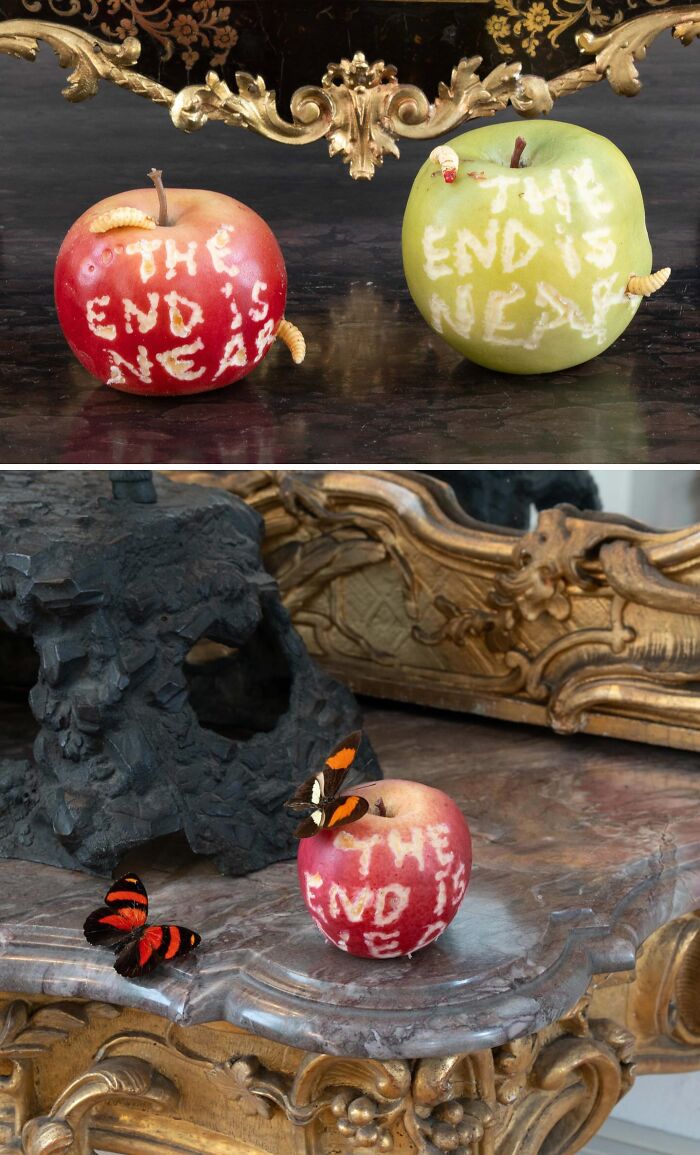 25 Bold And Unsettling Works By Marcel Walldorf That Turn Everyday Objects Into Thought-Provoking Art