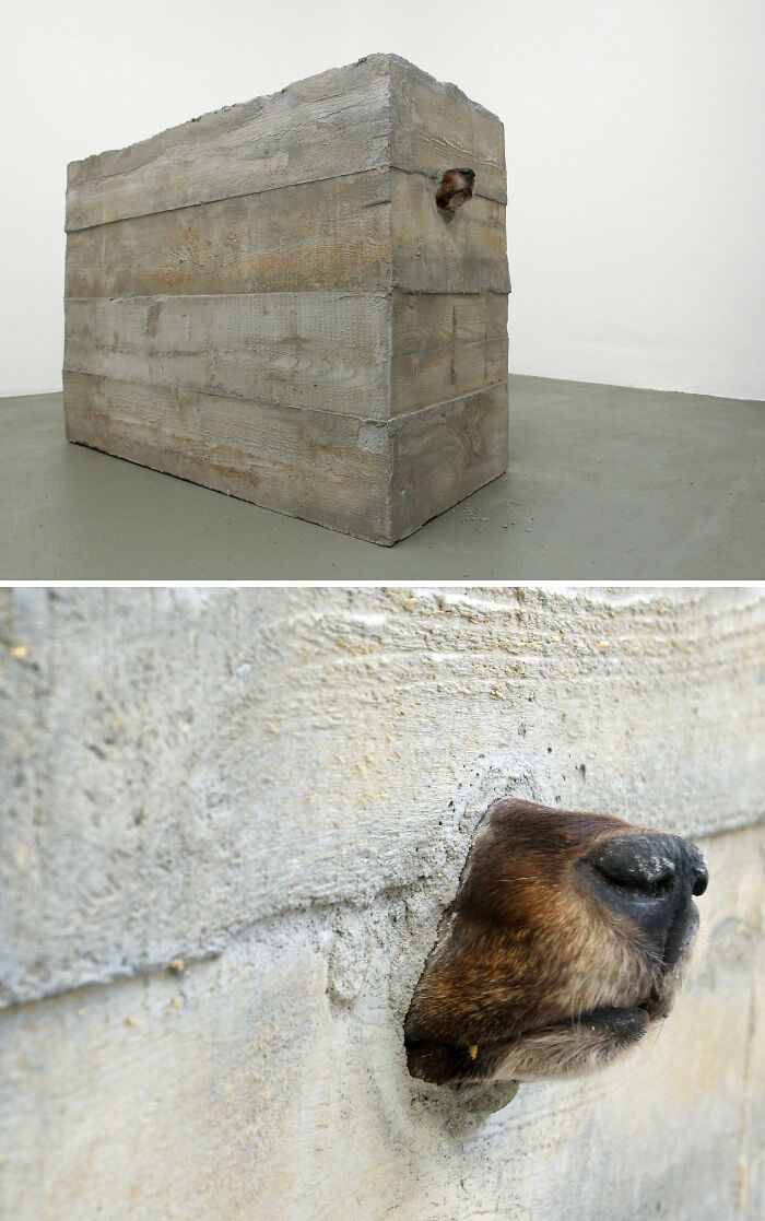 25 Bold And Unsettling Works By Marcel Walldorf That Turn Everyday Objects Into Thought-Provoking Art